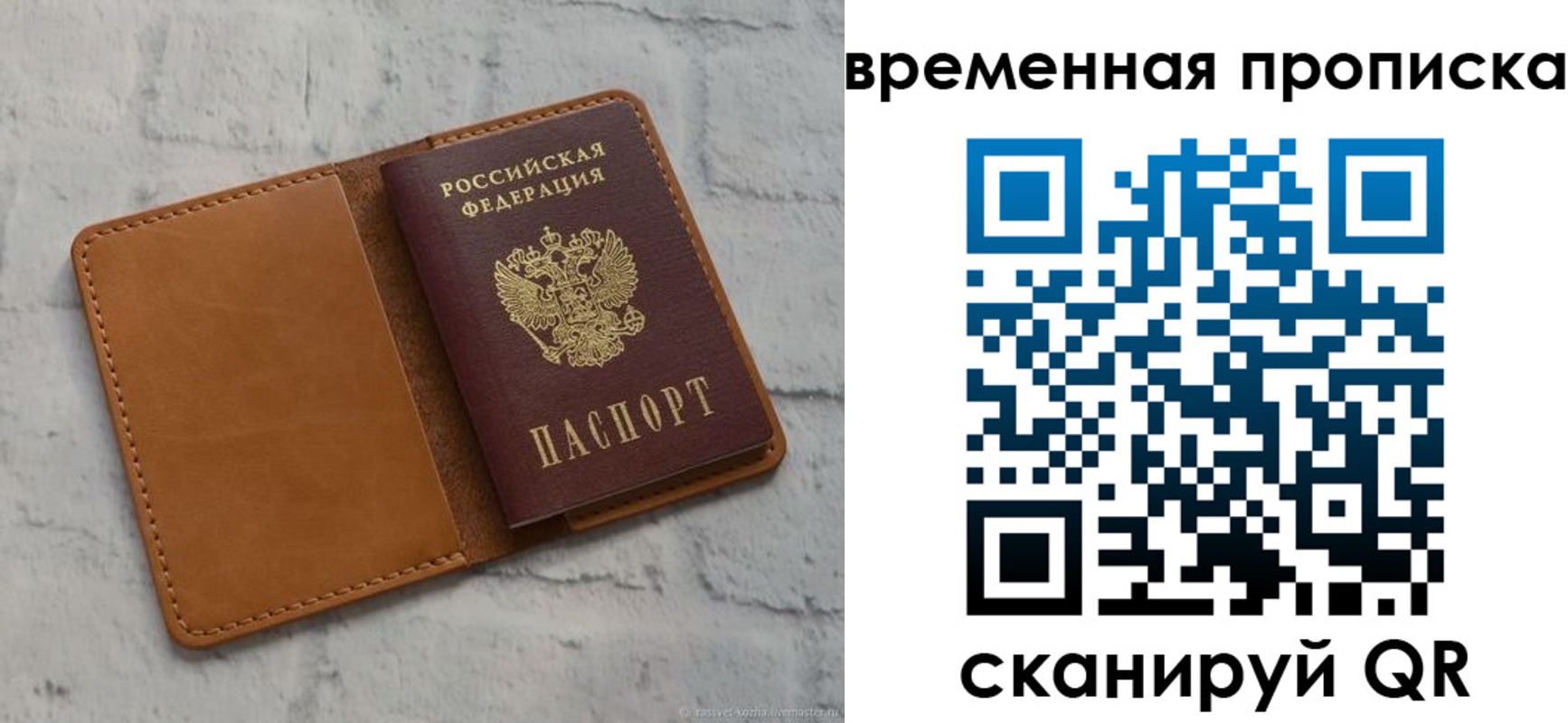 прописка поиск в Мончегорске